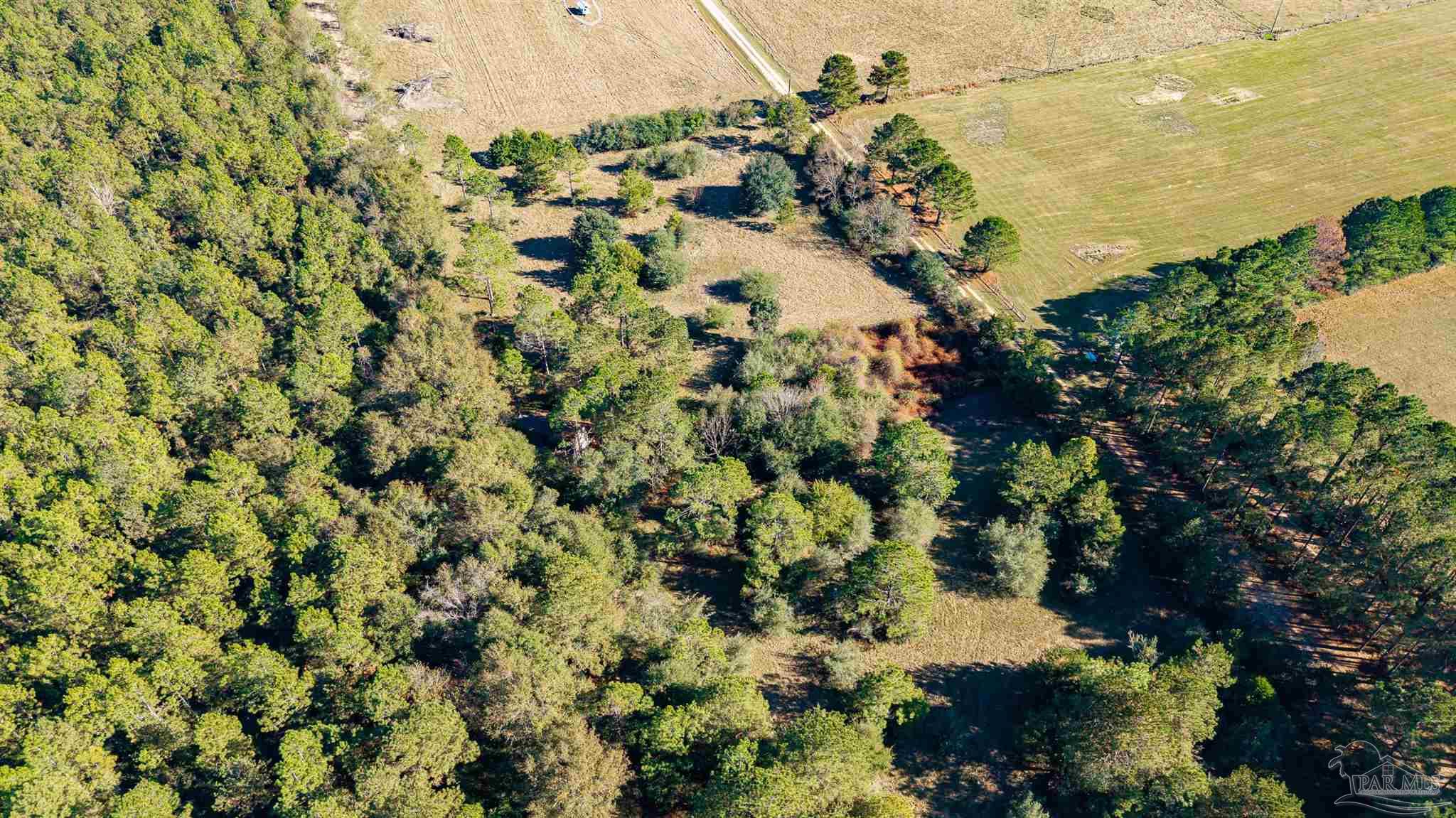 1756 Jacks Branch Road Cantonment, FL 32533 - Photo 12 of 29 a view of a tree with a yard