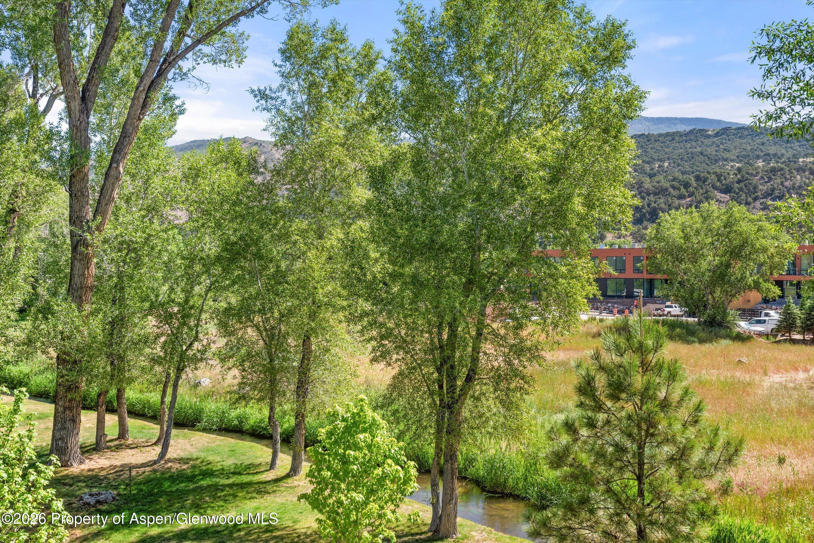 103 Willits Lane, Unit 201 Basalt, CO 81621 - Photo 13 of 27 26-103WillitsWy201_06112026026