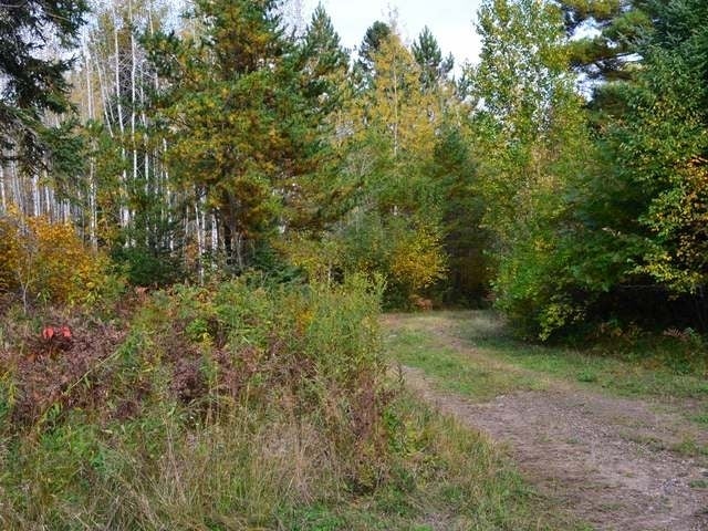 W6415 Cth Road Tomahawk, WI 54487 - Photo 19 of 21 Gallery Image 19