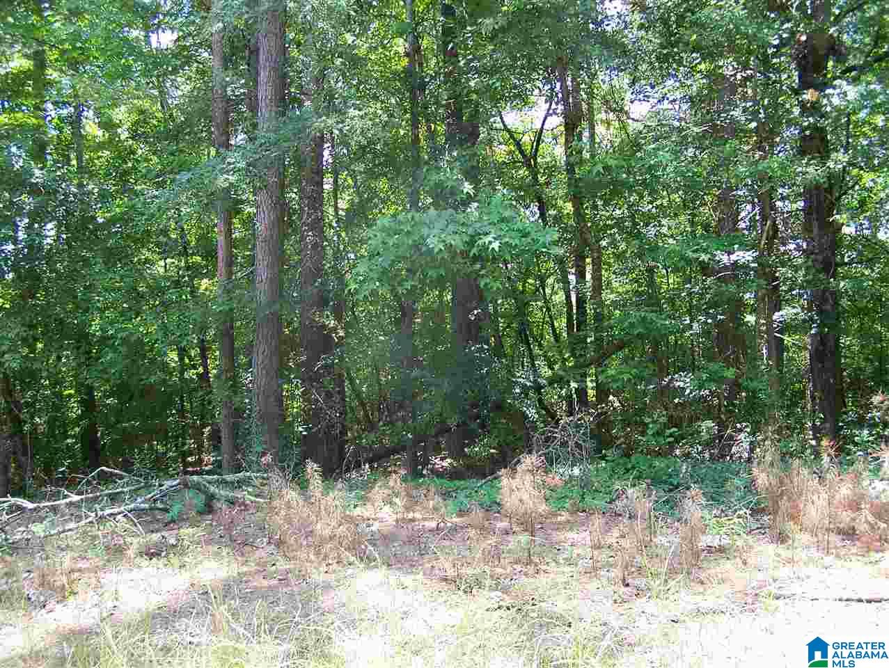 0 Sunset Drive, Unit 2 Weaver, AL 36277 - Photo 1 of 1