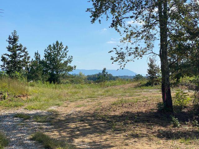 5 Athens Road Calhoun, TN 37309 - Photo 1 of 27 new 5 1