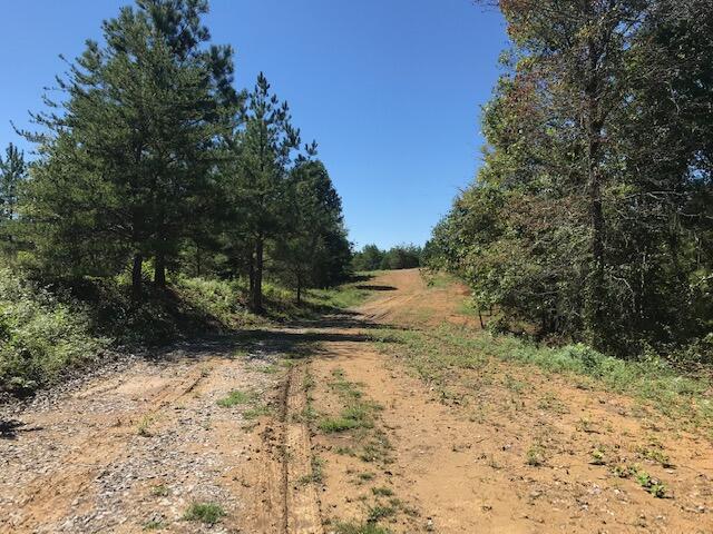 5 Athens Road Calhoun, TN 37309 - Photo 17 of 27 Chestuee 5 road