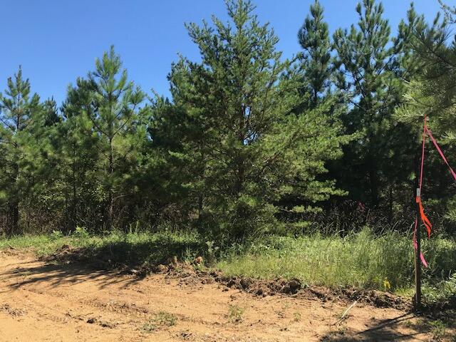 5 Athens Road Calhoun, TN 37309 - Photo 18 of 27 Chestuee 5 front