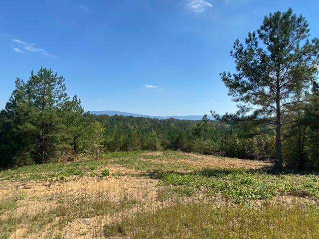 5 Athens Road Calhoun, TN 37309 - Photo 22 of 27 new 5 3