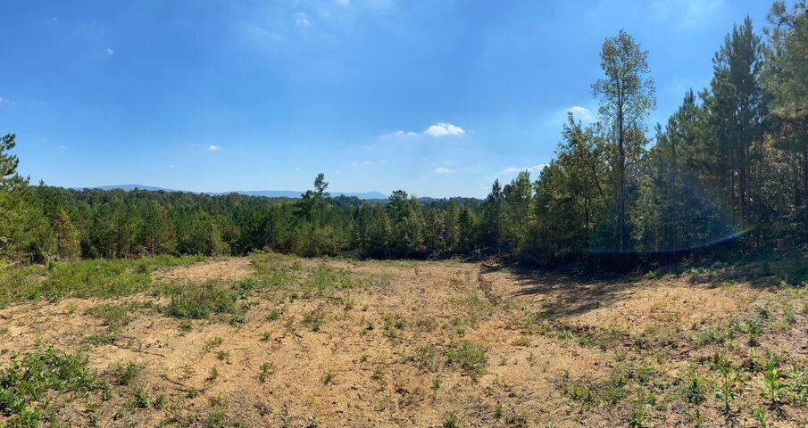 5 Athens Road Calhoun, TN 37309 - Photo 23 of 27 new 5 4