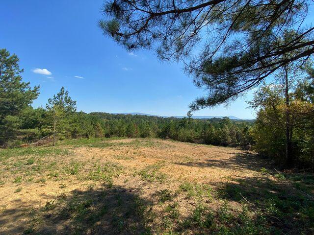 5 Athens Road Calhoun, TN 37309 - Photo 24 of 27 new 5 5