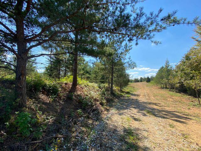 5 Athens Road Calhoun, TN 37309 - Photo 25 of 27 new 5 6