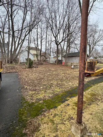 a view of a yard with large trees