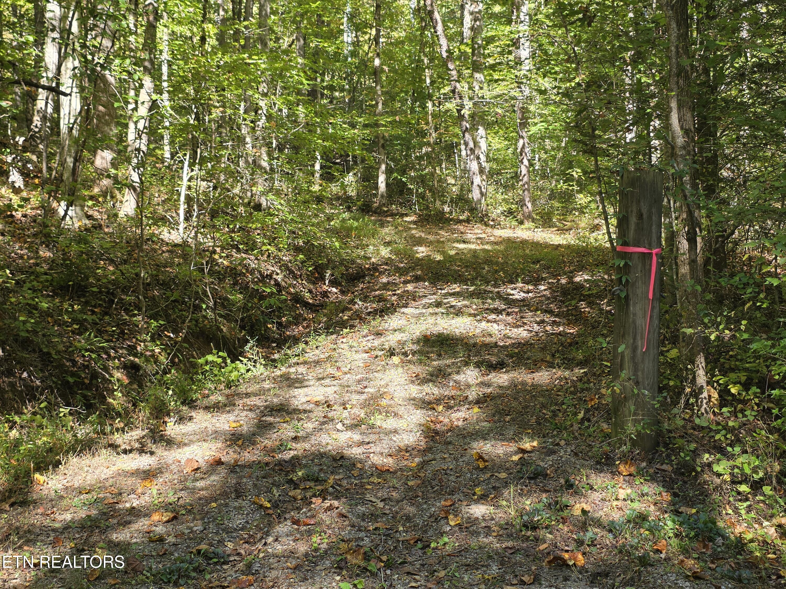 Tuskegee Drive Oak Ridge, TN 37830 - Photo 1 of 11 1000005600