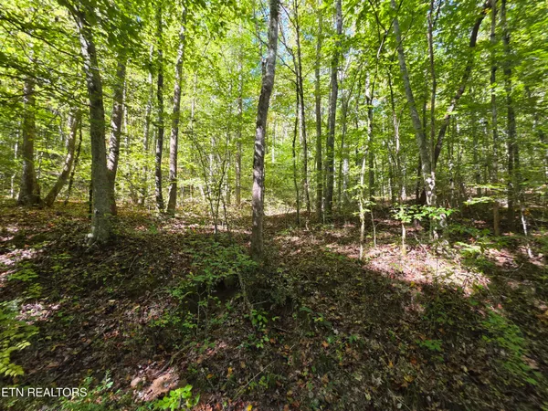 $212,000 | Tuskegee Drive, Oak Ridge, TN 37830