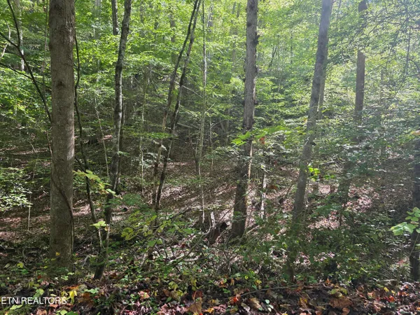 $212,000 | Tuskegee Drive, Oak Ridge, TN 37830