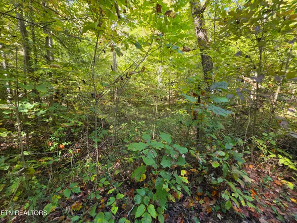 $212,000 | Tuskegee Drive, Oak Ridge, TN 37830