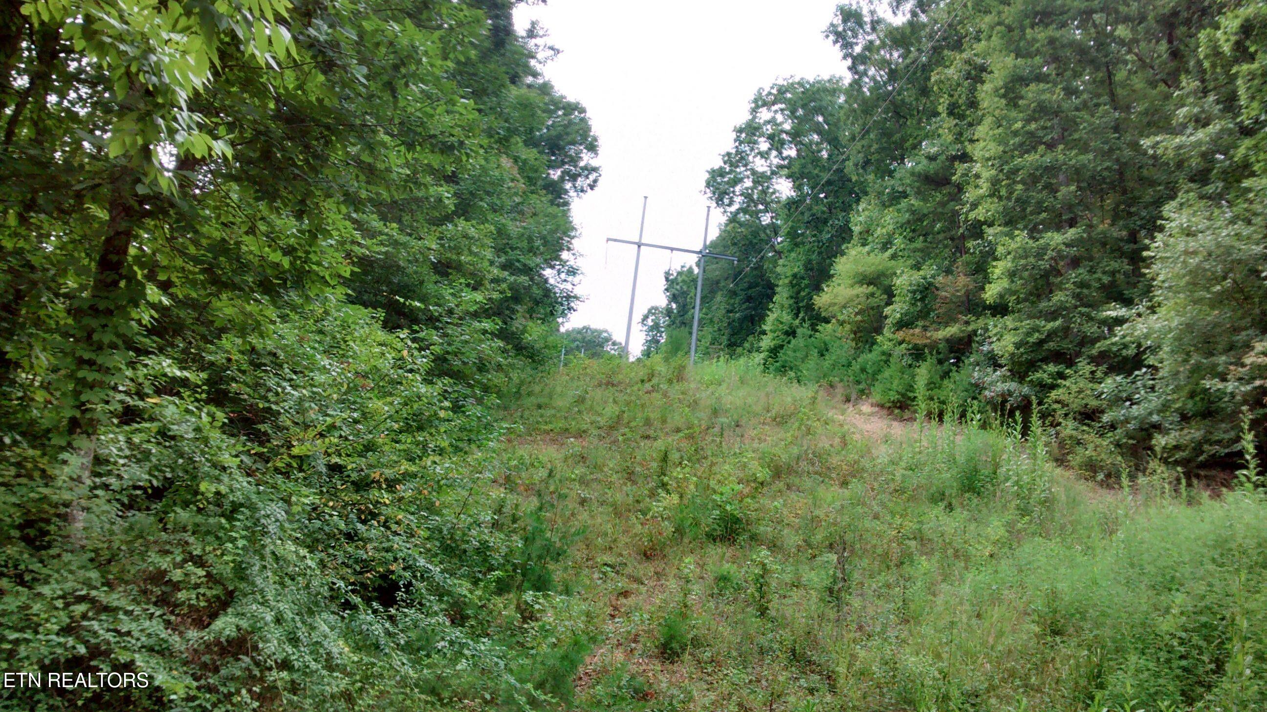 Tuskegee Drive Oak Ridge, TN 37830 - Photo 5 of 11 20140915214514944165000000-o