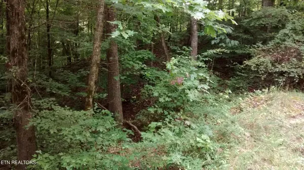 $212,000 | Tuskegee Drive, Oak Ridge, TN 37830