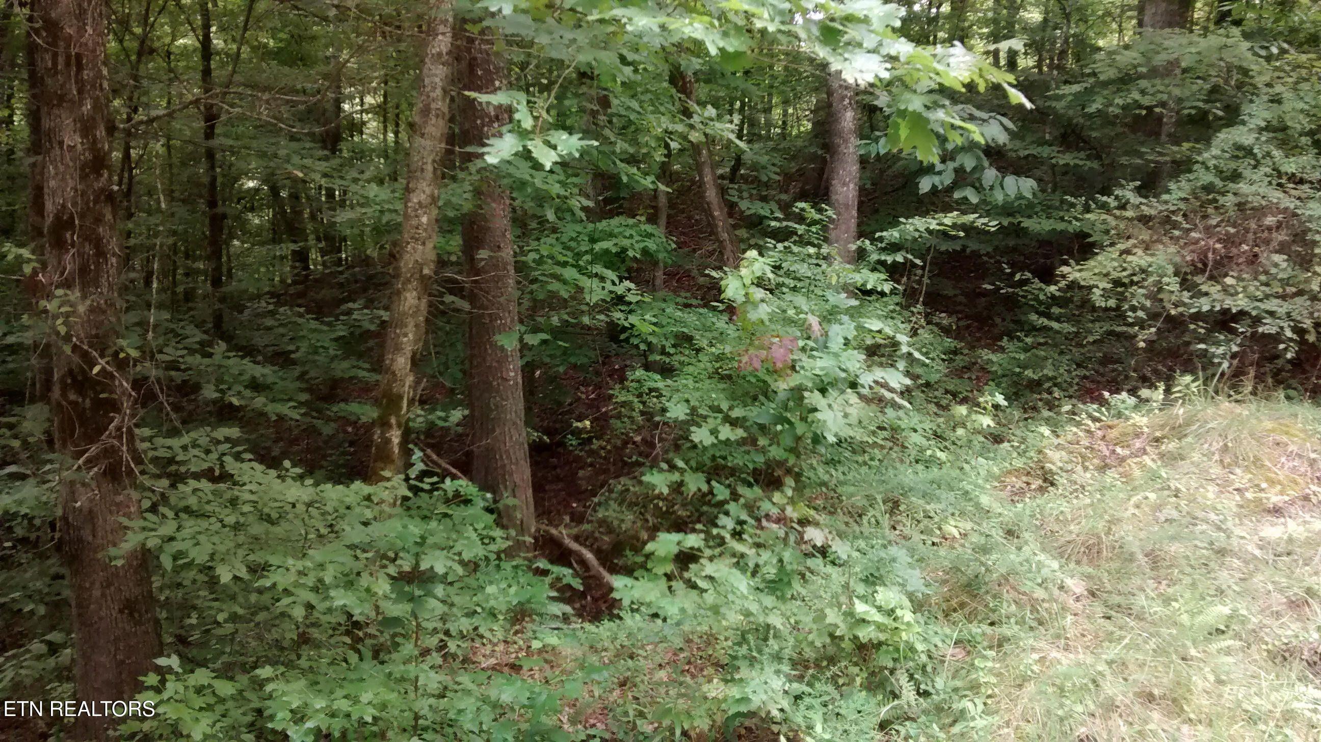 Tuskegee Drive Oak Ridge, TN 37830 - Photo 6 of 11 20140915214559239415000000-o