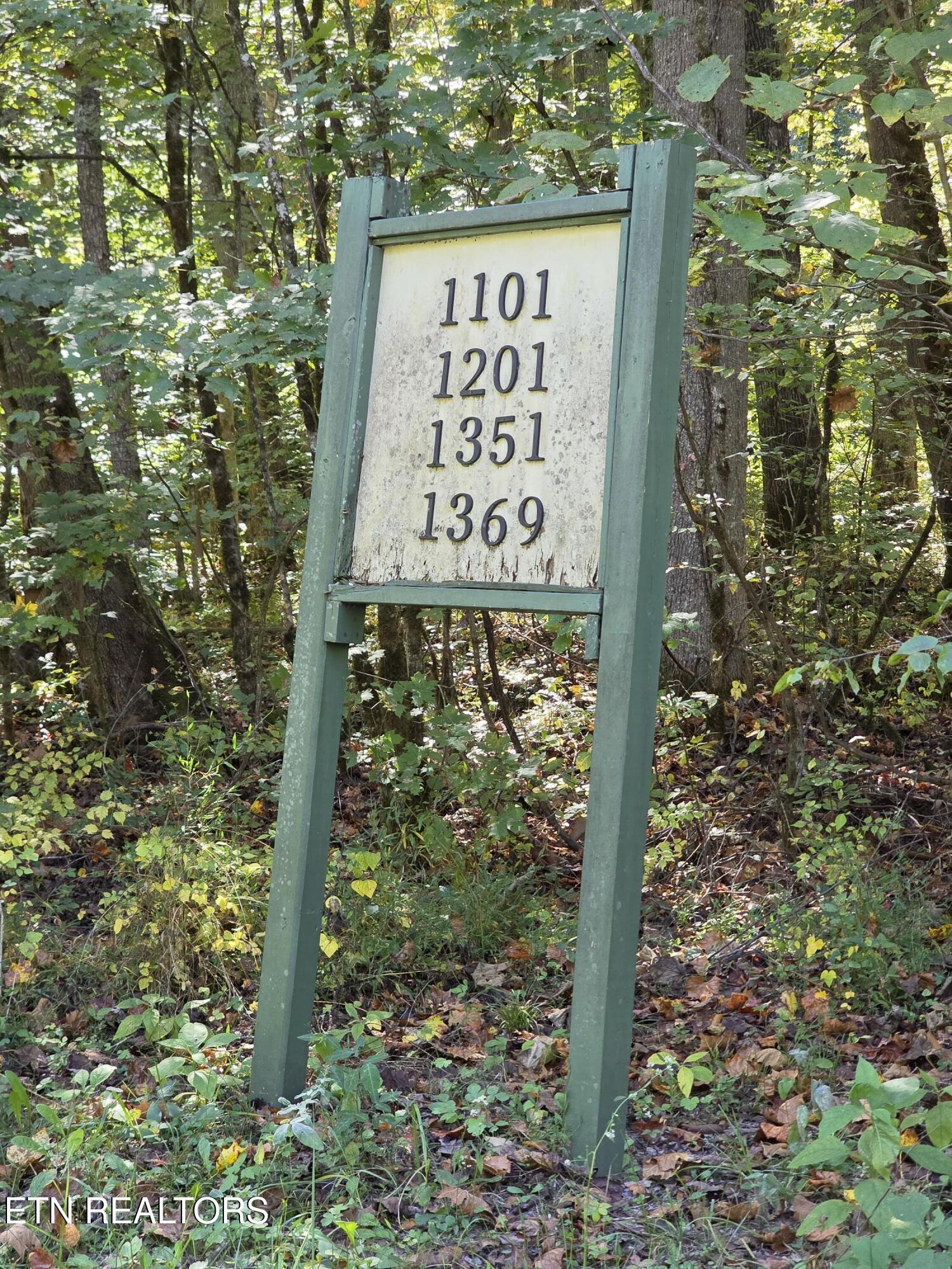 Tuskegee Drive Oak Ridge, TN 37830 - Photo 8 of 11 1000005595