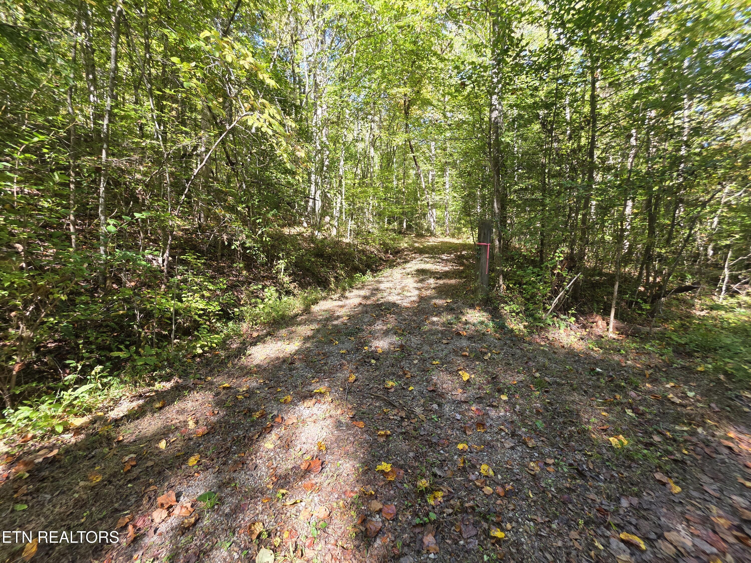 Tuskegee Drive Oak Ridge, TN 37830 - Photo 9 of 11 1000005599