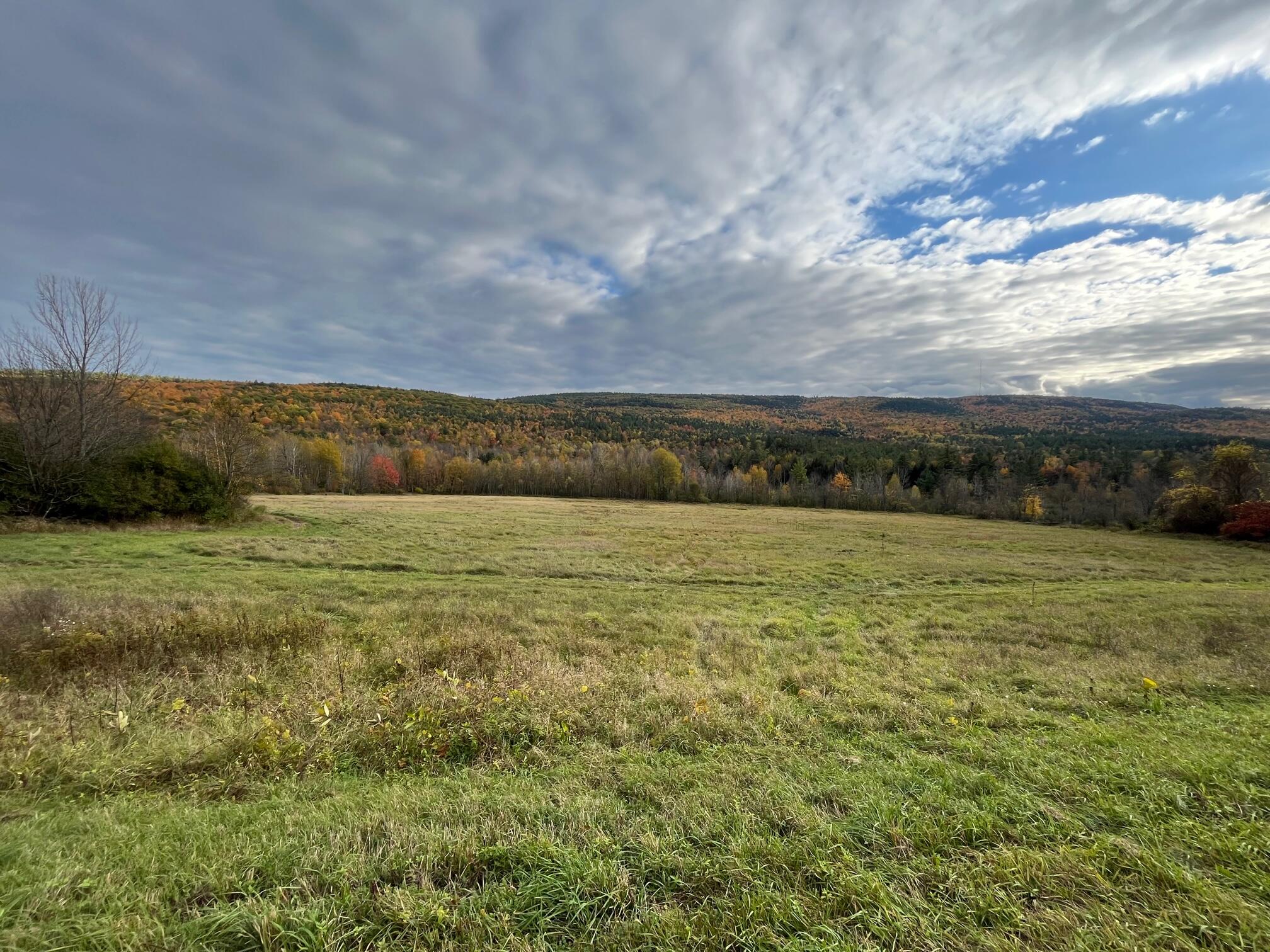 0 Peasleeville Road Peru, NY 12972 - Photo 6 of 7