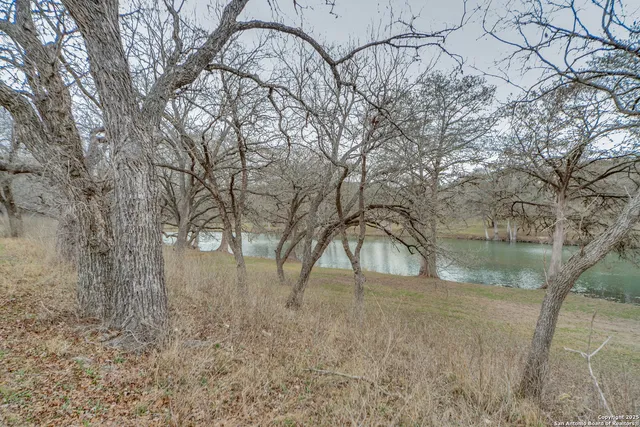 a park view with a bench in a forest