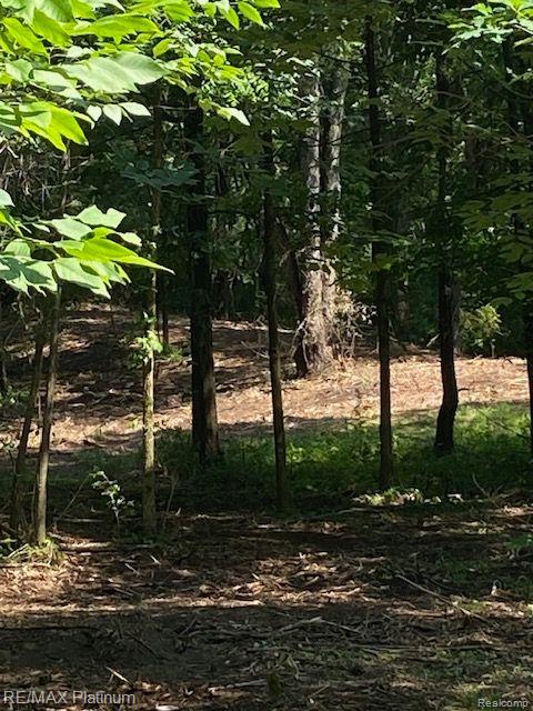 7 Sleaford-parcel 7 - 2 Acres Road Howell, MI 48843 - Photo 43 of 45