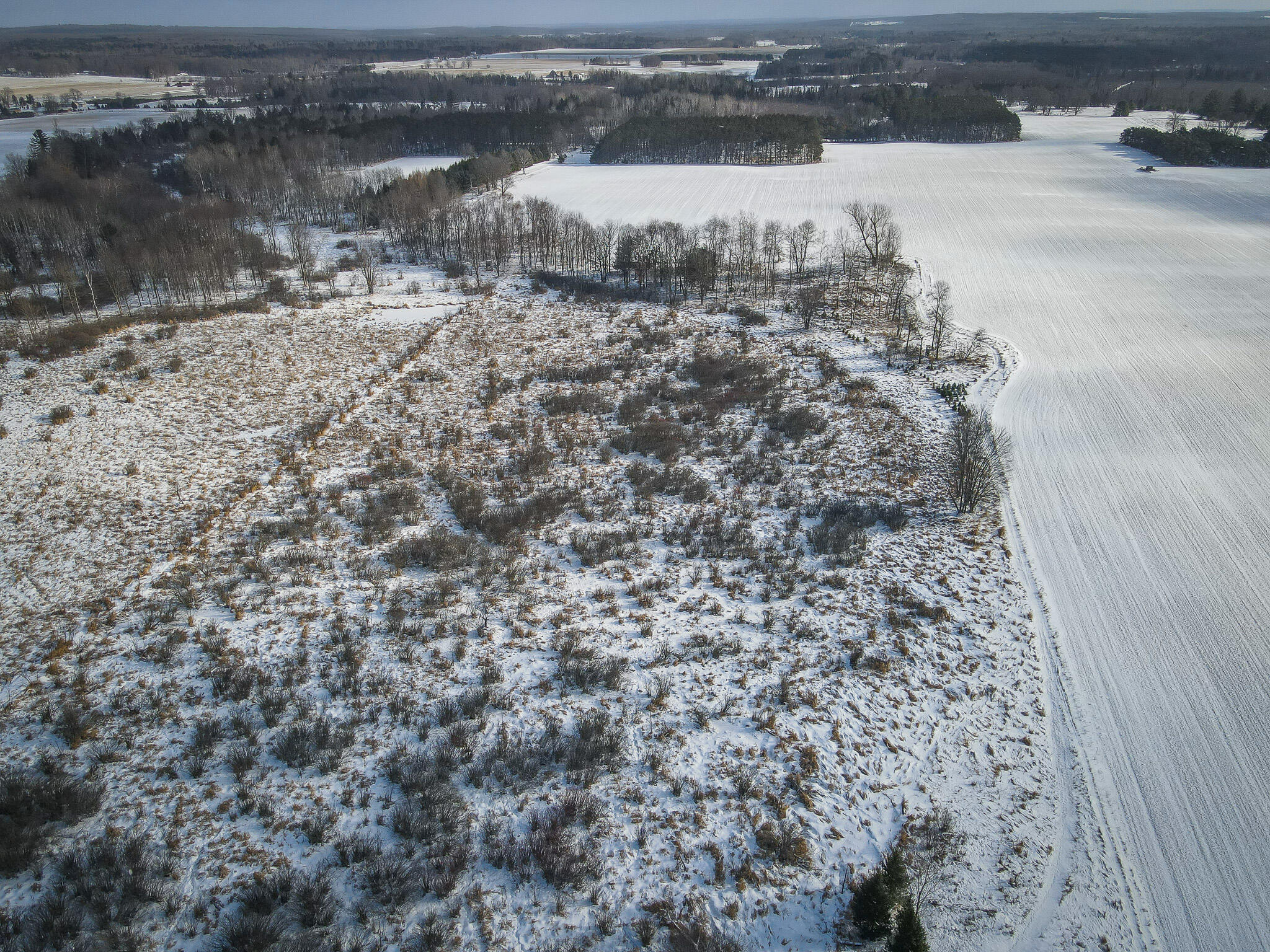 5143 South 8 Mile Road Falmouth, MI 49632 - Photo 11 of 58 DJI_0195