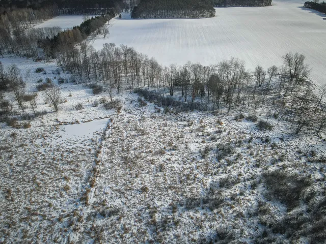 $125,000 | 5143 South 8 Mile Road, Falmouth, MI 49632