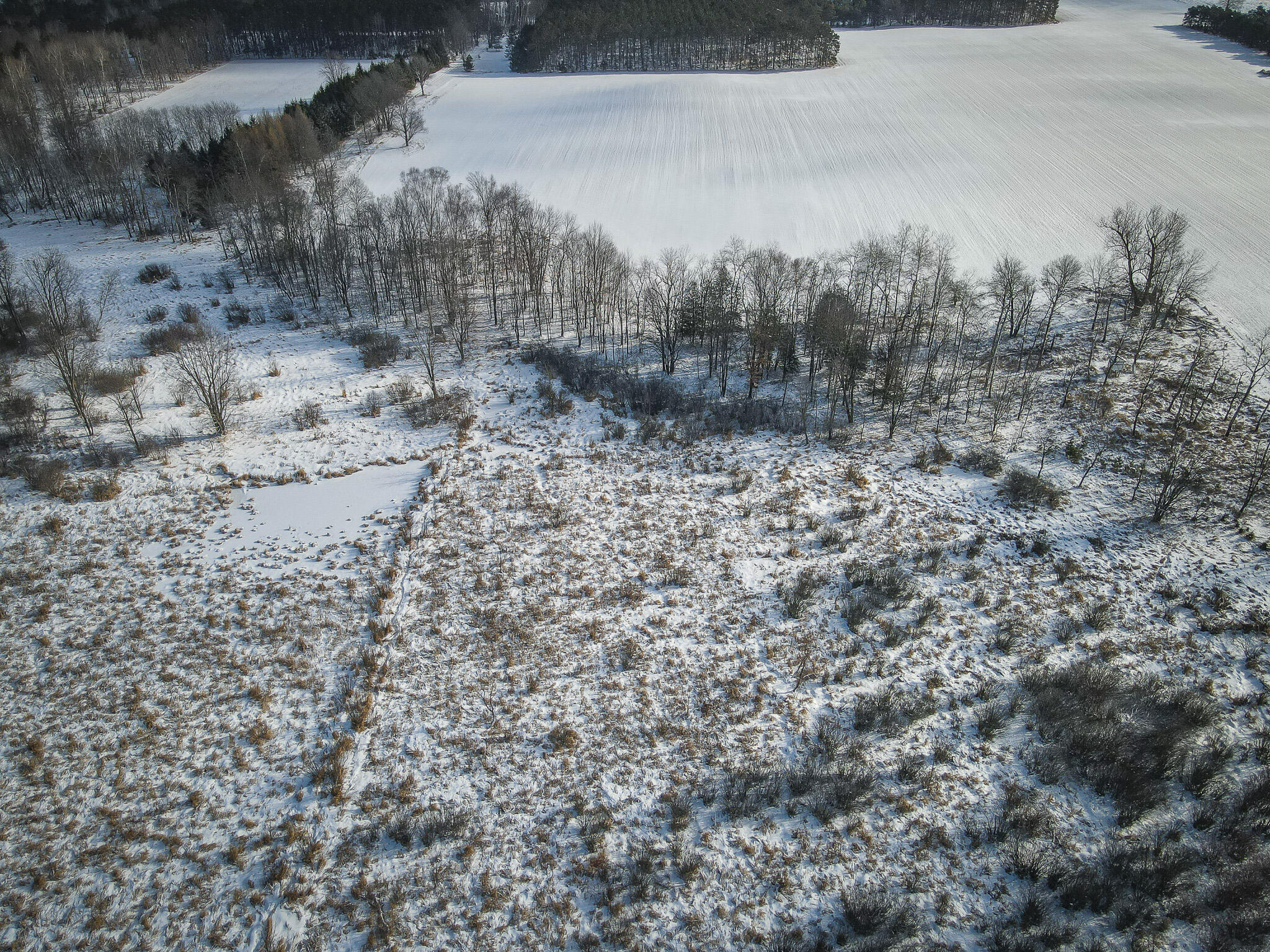 5143 South 8 Mile Road Falmouth, MI 49632 - Photo 12 of 58 DJI_0196