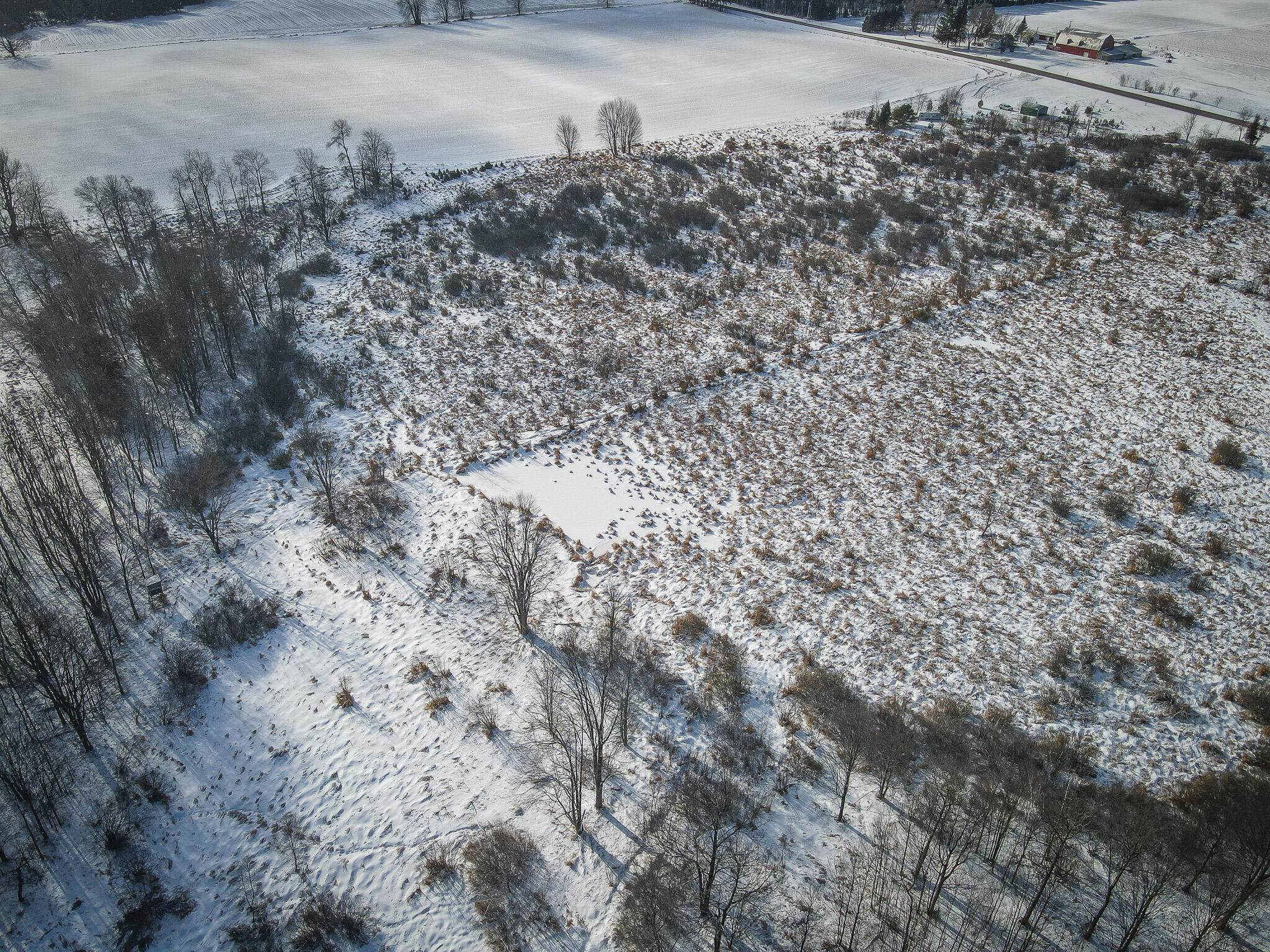 5143 South 8 Mile Road Falmouth, MI 49632 - Photo 13 of 58 DJI_0197