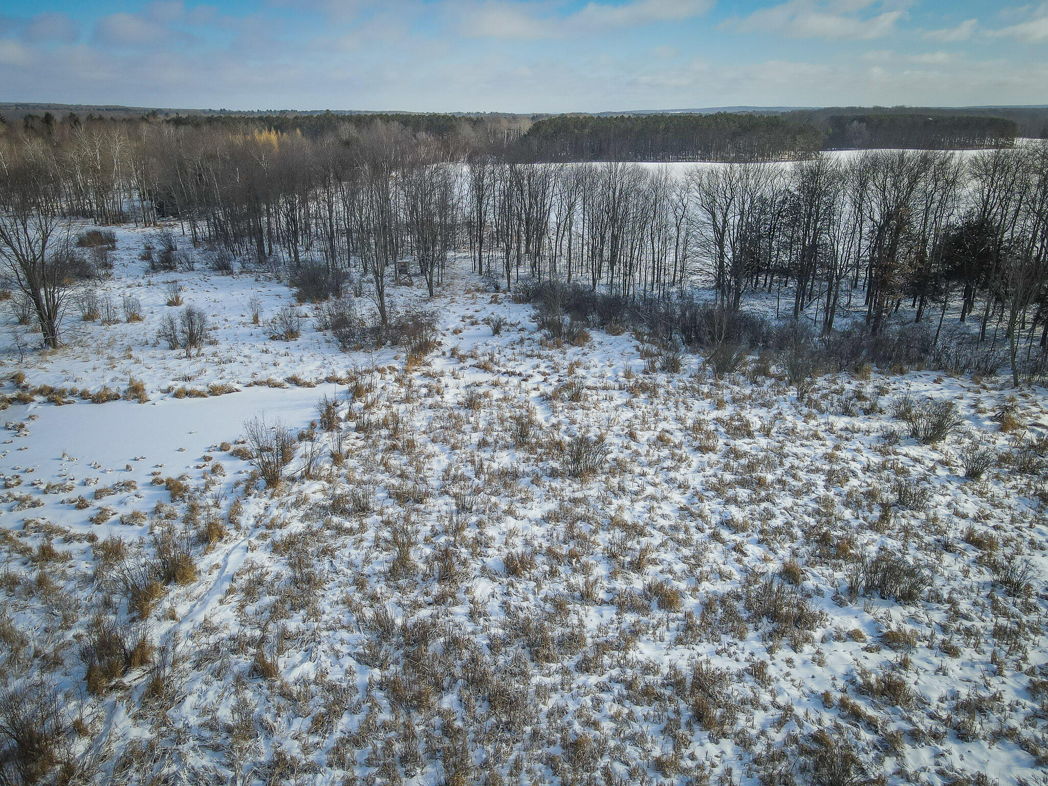 5143 South 8 Mile Road Falmouth, MI 49632 - Photo 17 of 58 DJI_0205