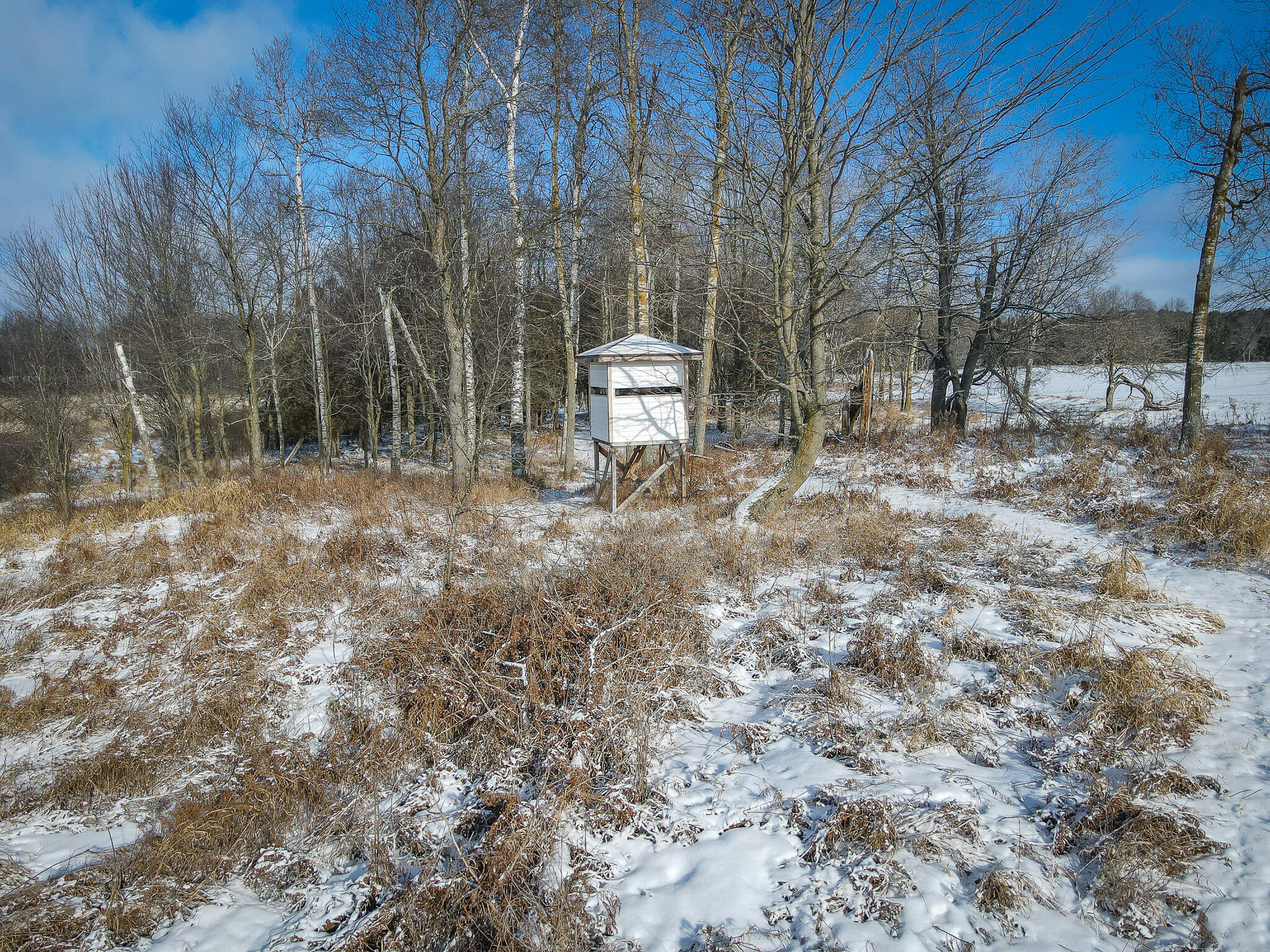 5143 South 8 Mile Road Falmouth, MI 49632 - Photo 20 of 58 DJI_0211