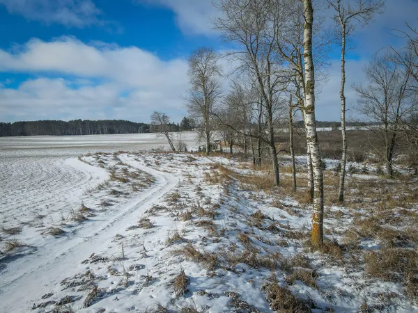 $123,000 | 5143 South 8 Mile Road, Falmouth, MI 49632