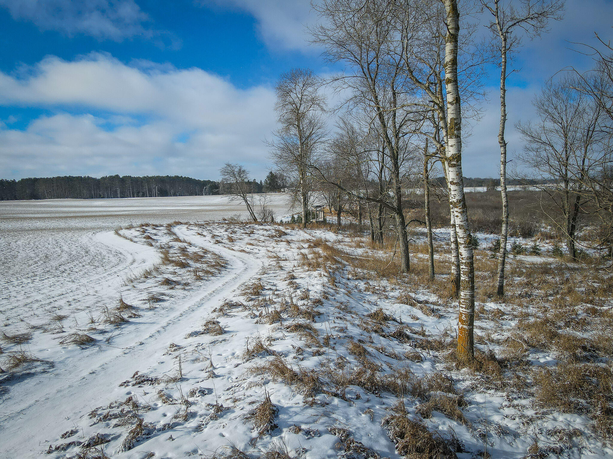 5143 South 8 Mile Road Falmouth, MI 49632 - Photo 21 of 58 DJI_0212