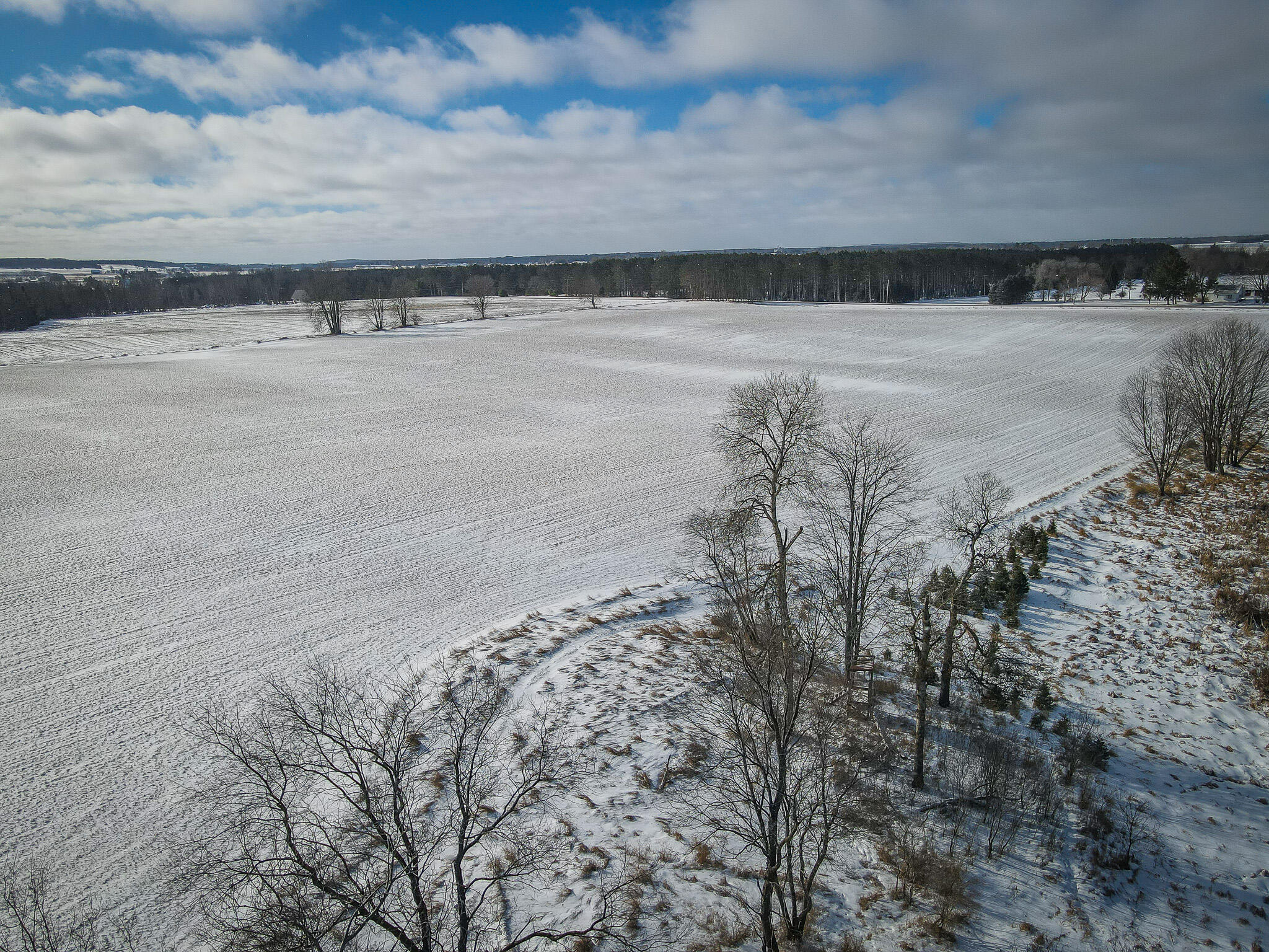5143 South 8 Mile Road Falmouth, MI 49632 - Photo 24 of 58 DJI_0215