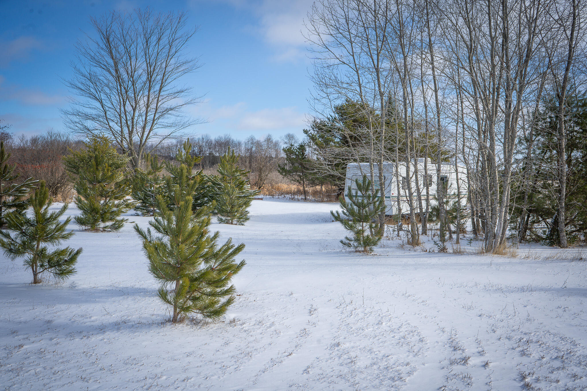 5143 South 8 Mile Road Falmouth, MI 49632 - Photo 31 of 58 DSC07486