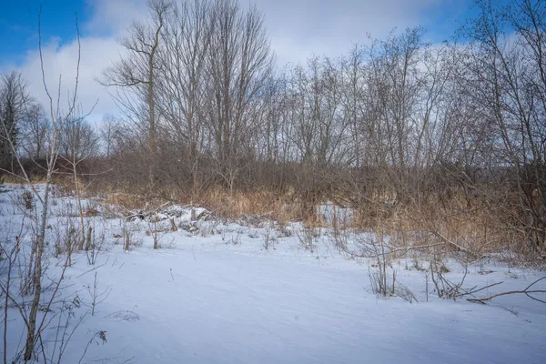$123,000 | 5143 South 8 Mile Road, Falmouth, MI 49632