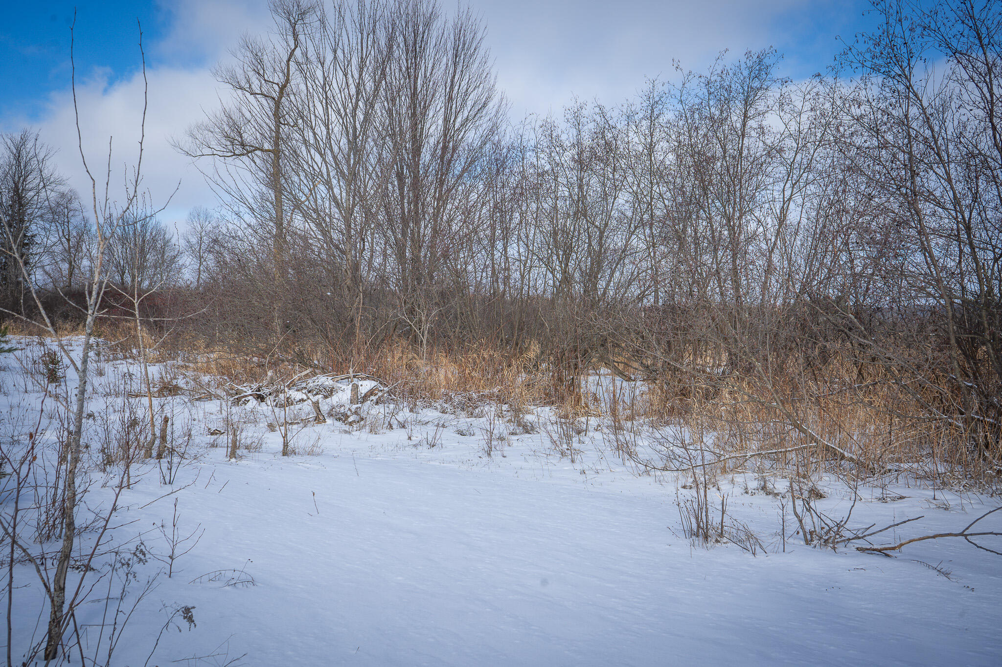 5143 South 8 Mile Road Falmouth, MI 49632 - Photo 32 of 58 DSC07488