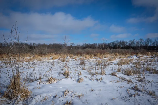 $125,000 | 5143 South 8 Mile Road, Falmouth, MI 49632