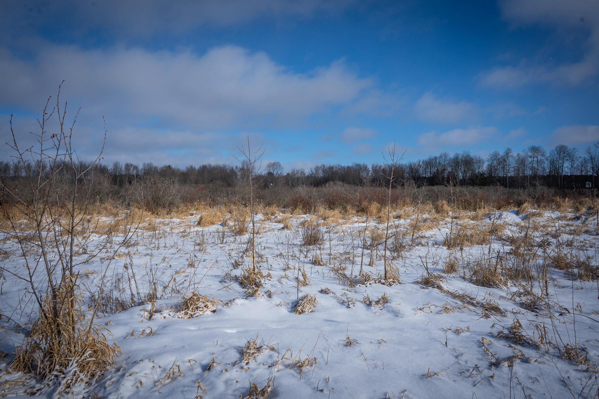 5143 South 8 Mile Road Falmouth, MI 49632 - Photo 35 of 58 DSC07492