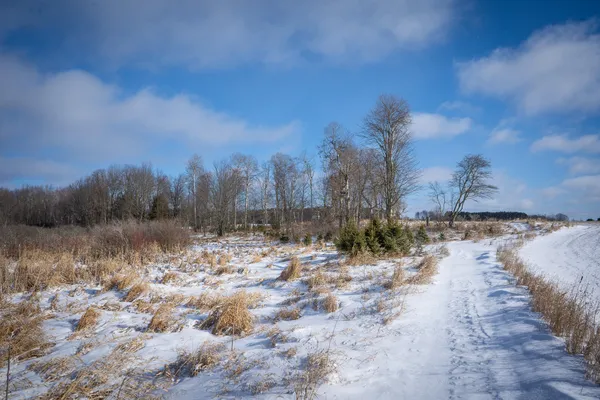 $123,000 | 5143 South 8 Mile Road, Falmouth, MI 49632