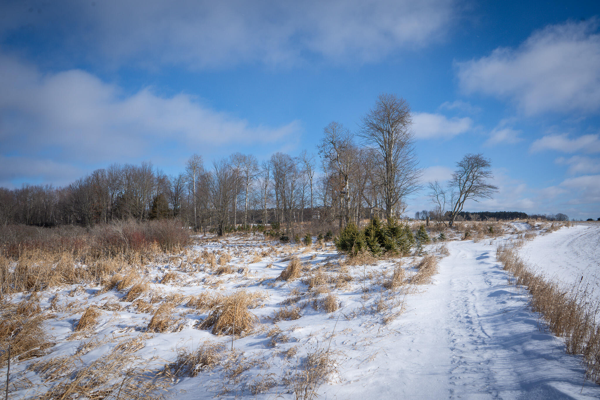 5143 South 8 Mile Road Falmouth, MI 49632 - Photo 36 of 58 DSC07494