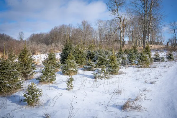 $123,000 | 5143 South 8 Mile Road, Falmouth, MI 49632