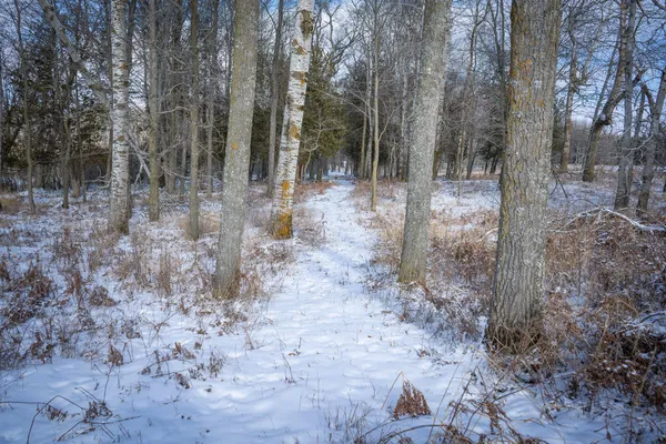 $123,000 | 5143 South 8 Mile Road, Falmouth, MI 49632