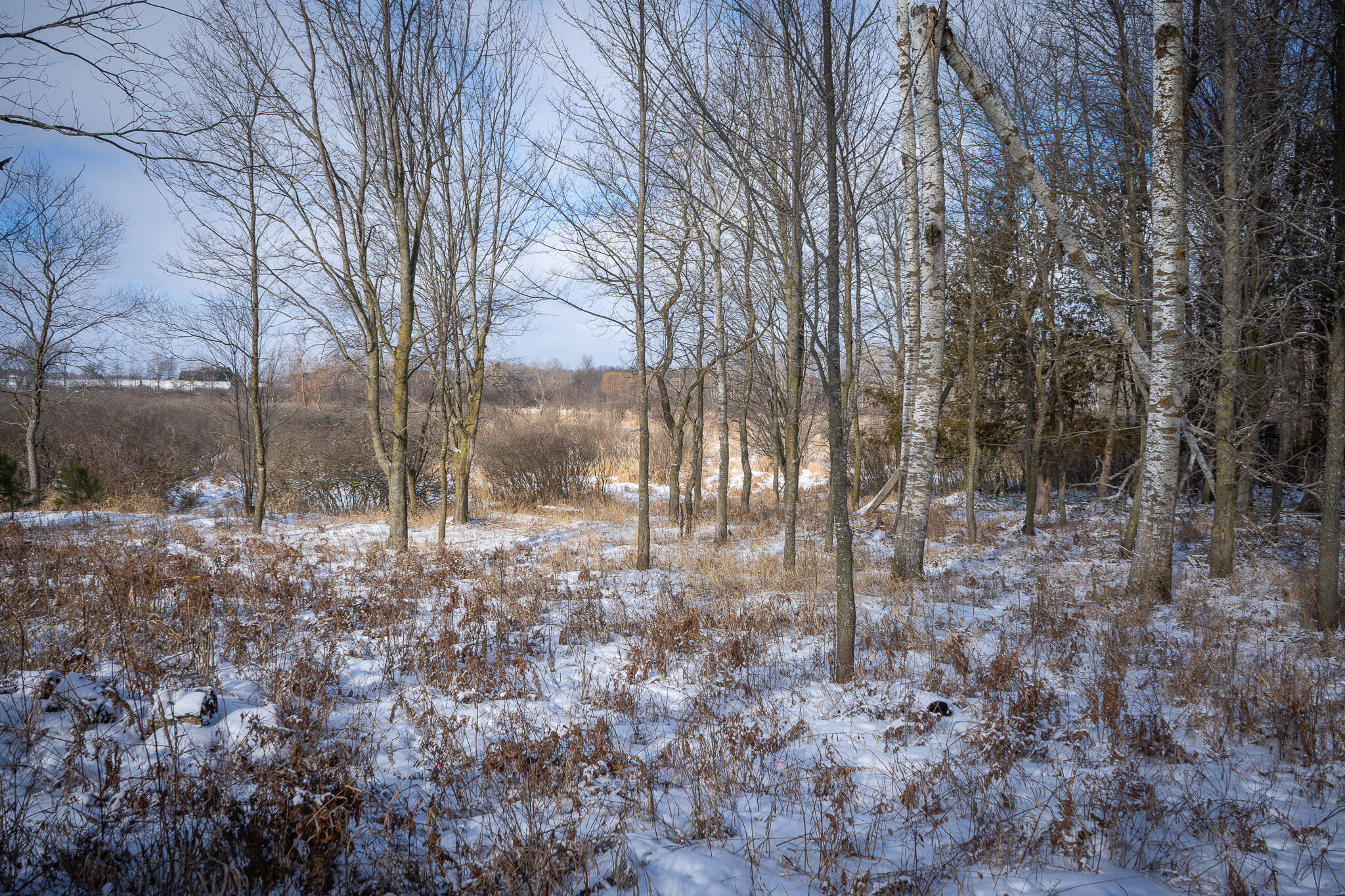 5143 South 8 Mile Road Falmouth, MI 49632 - Photo 39 of 58 DSC07502