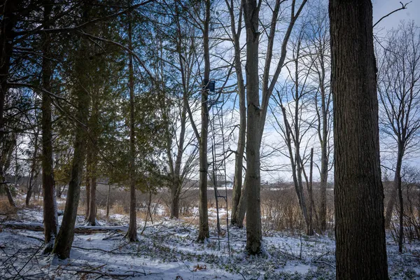 $123,000 | 5143 South 8 Mile Road, Falmouth, MI 49632