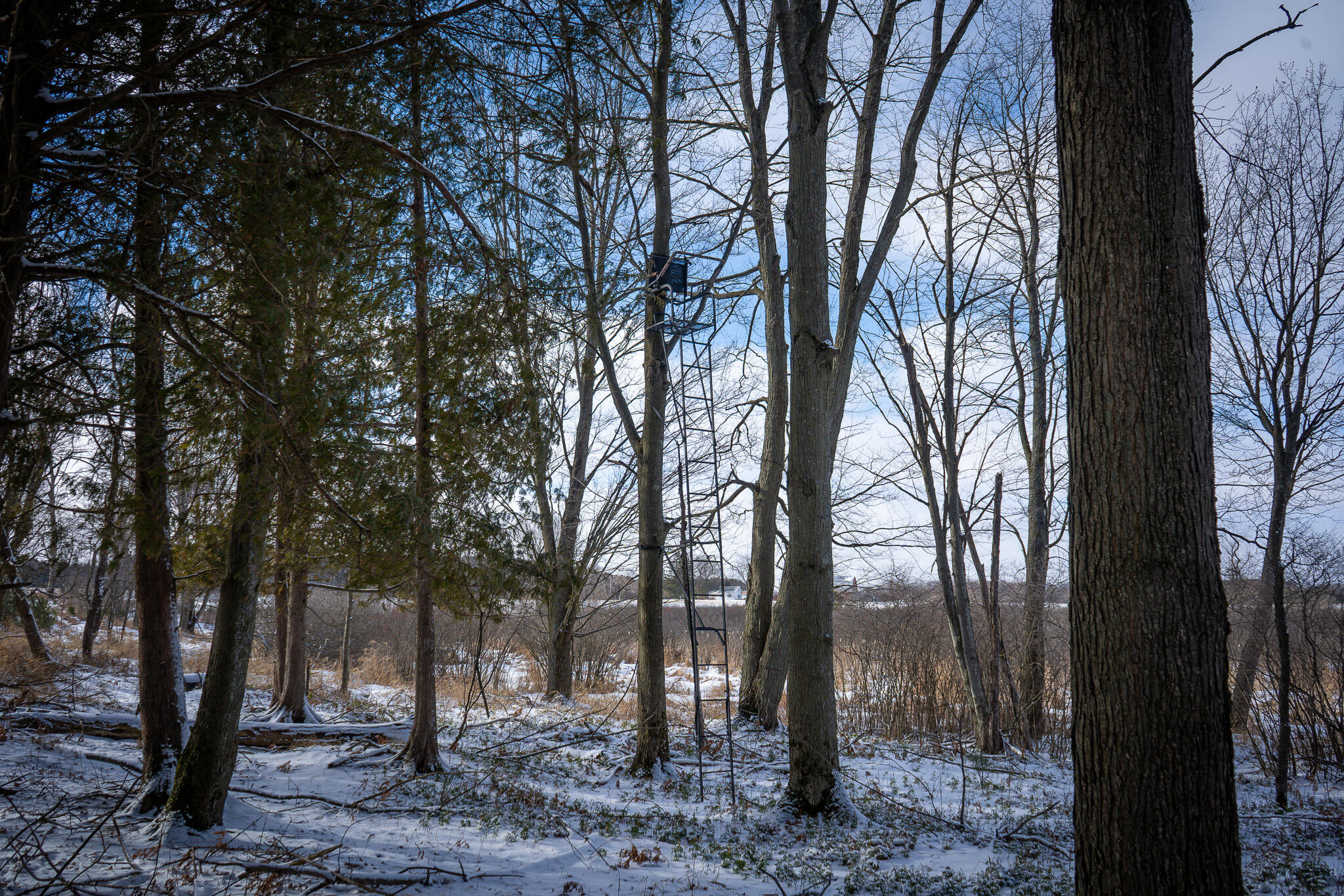 5143 South 8 Mile Road Falmouth, MI 49632 - Photo 40 of 58 DSC07503