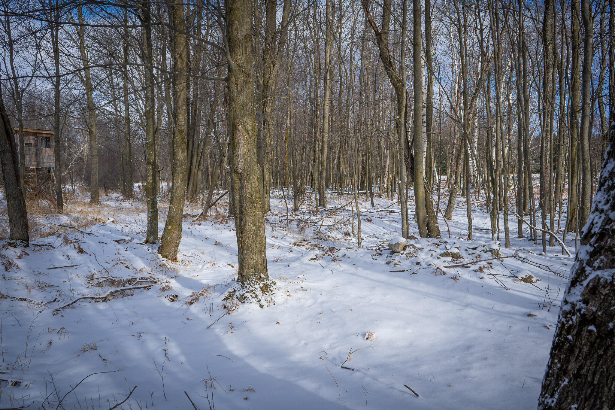 5143 South 8 Mile Road Falmouth, MI 49632 - Photo 43 of 58 DSC07507