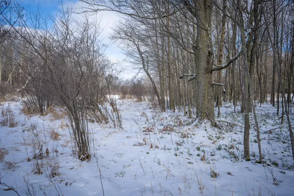 $123,000 | 5143 South 8 Mile Road, Falmouth, MI 49632