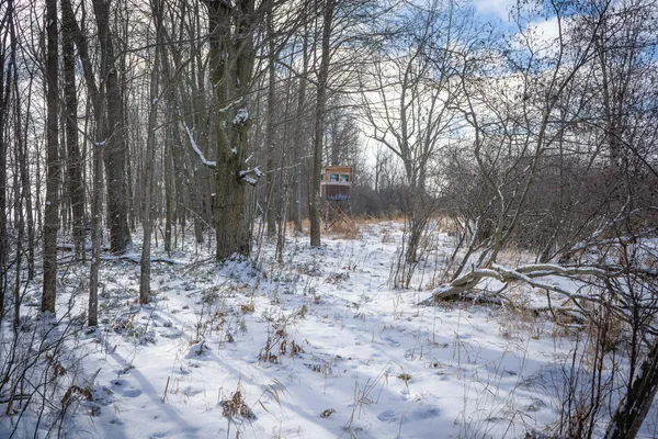 $123,000 | 5143 South 8 Mile Road, Falmouth, MI 49632