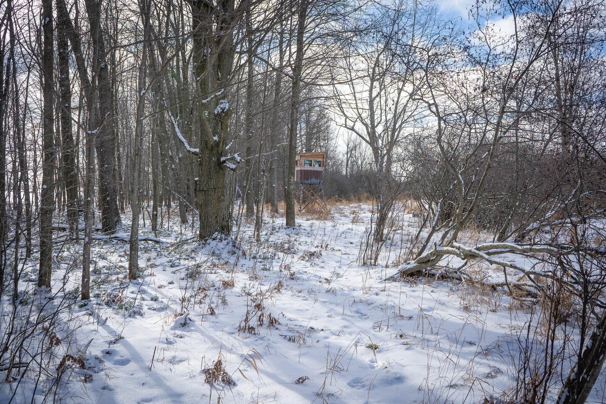 5143 South 8 Mile Road Falmouth, MI 49632 - Photo 47 of 58 DSC07512