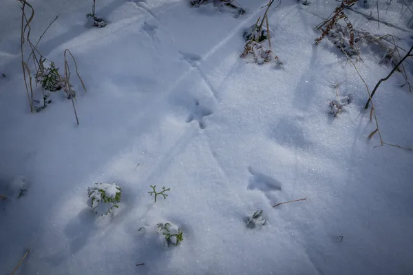 $123,000 | 5143 South 8 Mile Road, Falmouth, MI 49632